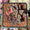 Echeveria 'Monocerotis' Variegated 2" Succulent Plant