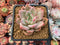 Echeveria 'Pink Champaign' 3" Succulent Plant