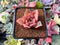 Echeveria 'Lilacina' x 'Rubin' Hybrid 1" New Hybrid Succulent Plant