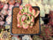 Echeveria 'Minibelle' Variegated 2" Succulent Plant