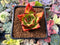 Echeveria Agavoides 'Ebony' Hybrid 1"-2" Succulent Plant